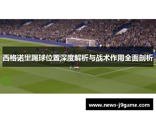 西格诺里踢球位置深度解析与战术作用全面剖析