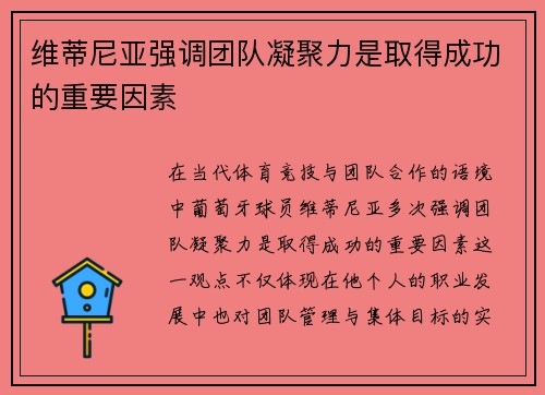 维蒂尼亚强调团队凝聚力是取得成功的重要因素
