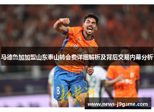马德鲁加加盟山东泰山转会费详细解析及背后交易内幕分析