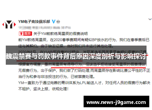 魏震禁赛与罚款事件背后原因深度剖析与影响探讨