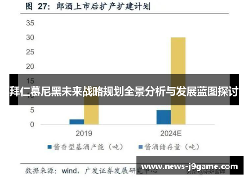 拜仁慕尼黑未来战略规划全景分析与发展蓝图探讨