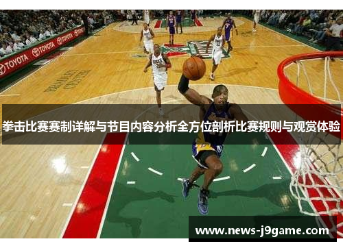 拳击比赛赛制详解与节目内容分析全方位剖析比赛规则与观赏体验